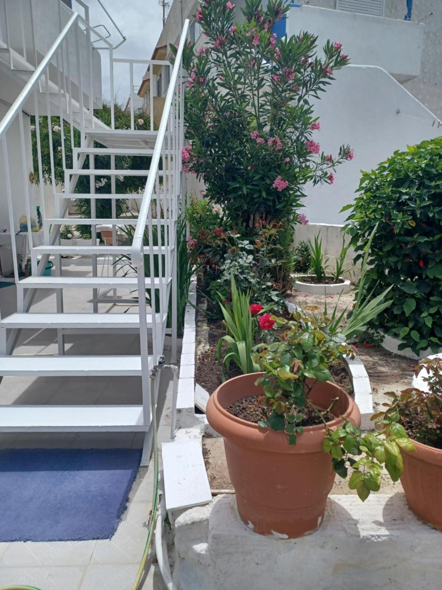 Mastichari Nektaria Studio Apartment Exterior photo
