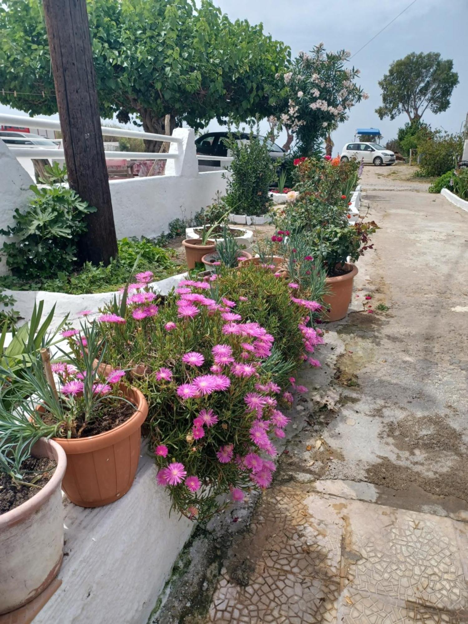 Mastichari Nektaria Studio Apartment Exterior photo